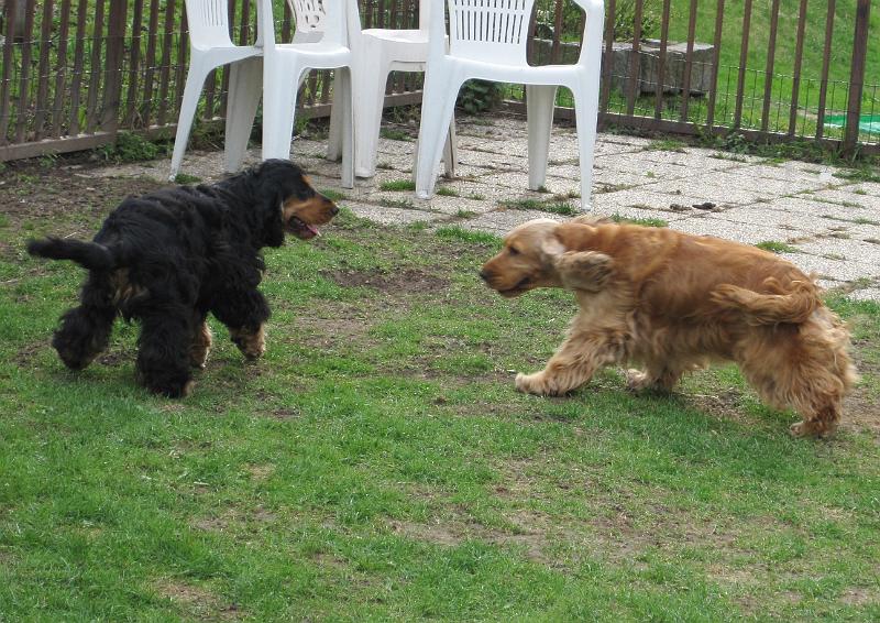 j Arny-10.4.2010.JPG